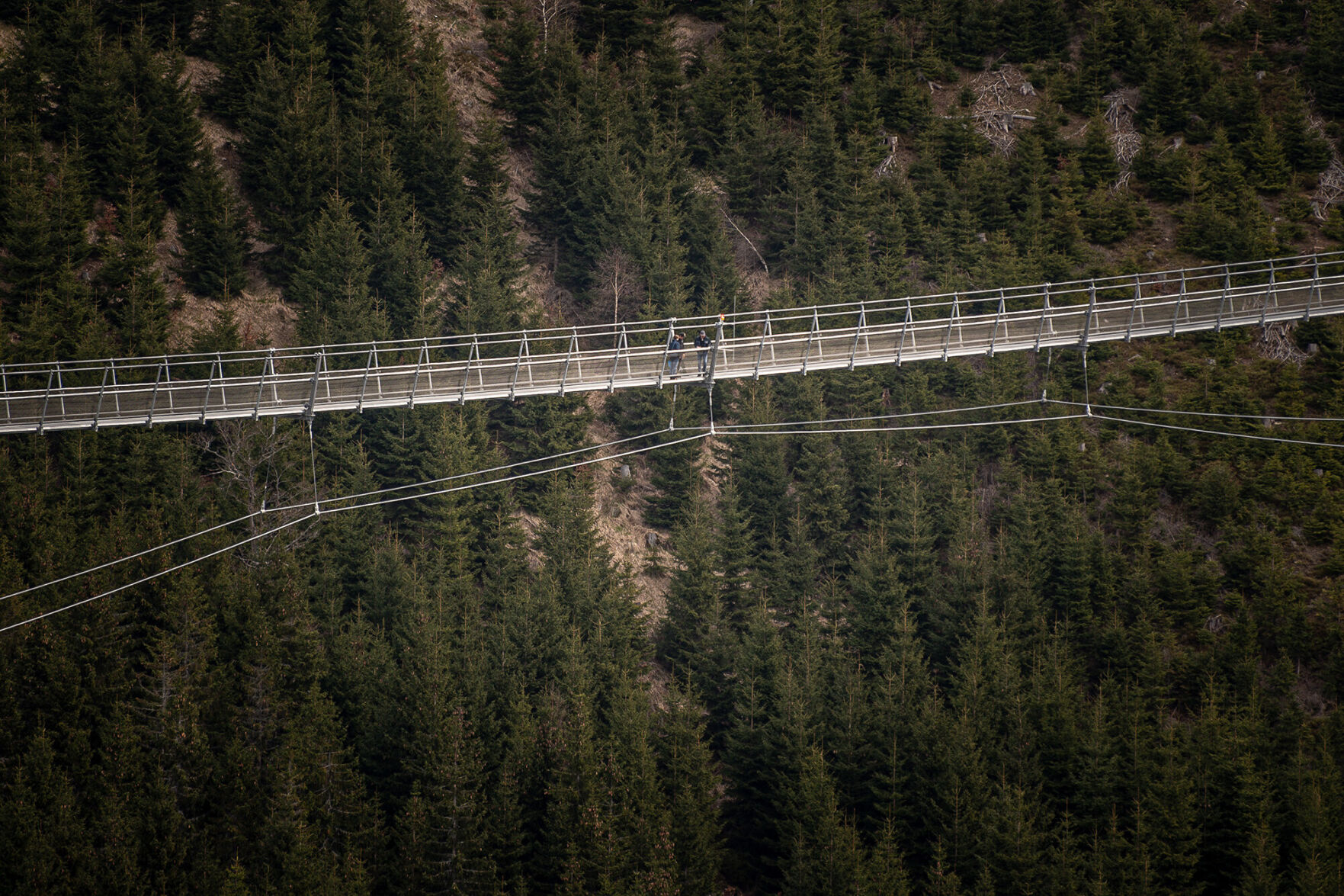 Spectacular world's longest suspension footbridge opens in Czech Republic